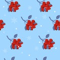Christmas holly berries seamless pattern. Christmas plants Royalty Free Stock Photo
