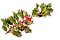 Holly leaves with berries on white Royalty Free Stock Photo