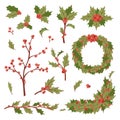 Christmas holly berry decoration vector leaves tree set, Xmas traditional symbol leaf icon branch illustration Royalty Free Stock Photo