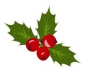 Christmas holly berry mistletoe vector or color illustration Royalty Free Stock Photo