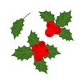 Christmas holly berry vector icon, cartoon mistletoe and leaf, ilex branch, xmas plant. Holiday illustration