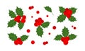 Christmas holly berry vector icon, mistletoe and leaf, red ilex branch, xmas plant. Cartoon holiday illustration