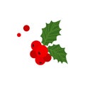 Christmas holly berry vector, mistletoe and leaf icon, red ilex branch, cartoon xmas plant. Holiday illustration
