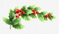 Christmas holly branch realistic illustration