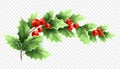 Christmas holly branch realistic illustration Royalty Free Stock Photo