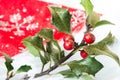 Christmas holly concept Royalty Free Stock Photo