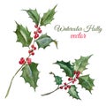 Christmas holly flower Royalty Free Stock Photo