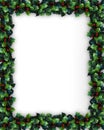 Christmas Holly Frame