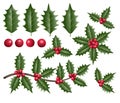 Christmas holly leaves, berries and branches illustration Royalty Free Stock Photo