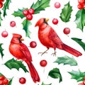 Christmas holly leaves and berries, red cardinal birds, Seamless pattern, watercolor hand drawn illustration