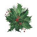 Christmas holly leaves ed berries, spruce isolated on white. Watercolor hand drawn Xmas illustration. Art for design Royalty Free Stock Photo