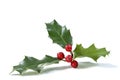 Christmas Holly With Red Berries. Traditional festive decoration. Holly branch with red berries on white background Royalty Free Stock Photo