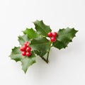 Christmas Holly With Red Berries On White.