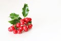 Christmas holly with red berries. Traditional festive decoration. Holly branch with red berries on white table Royalty Free Stock Photo