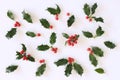 Christmas holly with red berries. Traditional festive decoration. Holly branch with red berries on white table Royalty Free Stock Photo