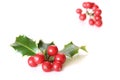 Christmas holly with red berries. Traditional festive decoration. Holly branch with red berries on white table Royalty Free Stock Photo