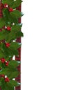 Christmas Holly and ribbons border Royalty Free Stock Photo