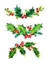 Christmas Holly set. Holly leaves and red berries.