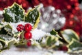 Christmas Holly with Snow Royalty Free Stock Photo