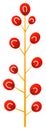 Christmas holly sprig element isolated on white background. Red berries on branch. Rowan icon in simple flat style