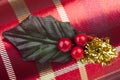 Christmas Holly Royalty Free Stock Photo