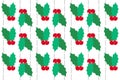 Christmas holly on white Background