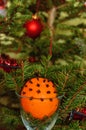 Handmade Christmas Orange decorated with cloves