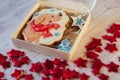 Christmas homemade gingerbread cookie with picture of nice dog, star, pine tree laying in box Royalty Free Stock Photo