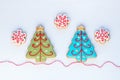 Christmas homemade gingerbread snowflake and christmas tree coo