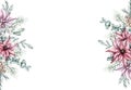 Christmas horizontal frame with red poinsettia flower, pine cone, snowberry, waxberry, or ghostberry and emerald spruce Royalty Free Stock Photo