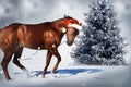 Christmas Horse Royalty Free Stock Photo