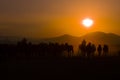 Wild horses running at sunset / Kayseri - Turkey Royalty Free Stock Photo