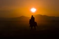 Wild horses running at sunset / Kayseri - Turkey Royalty Free Stock Photo