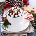 Christmas hot chocolate with festive decorations Royalty Free Stock Photo