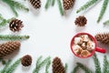 Christmas hot chocolate with marshmallows and christmas tree branches pine cone on the white. Top view with copy space. Royalty Free Stock Photo