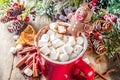 Christmas hot chocolate mug with chocolate gingerbread man