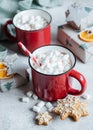 Christmas hot cocoa  in the red cup Royalty Free Stock Photo