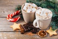 Christmas hot drink. Cocoa with marshmallows, chocolate and cinnamon
