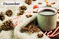 Christmas hot steaming cup of glint wine with spices, cinnamon, anise, cookies in a shape of star, red candies, fir cones, pepper