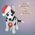 Christmas husky puppy Royalty Free Stock Photo
