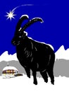 Christmas with ibex in the snow