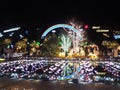 Seasonal Illumination in Ashikaga Flower Park