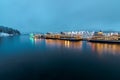 Christmas Illumination and Boats