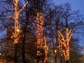 Christmas illumination on urban trees in winter Royalty Free Stock Photo