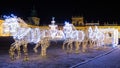 Christmas illuminations in the park in Wilanow