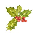 Christmas illustration with xmas mistletoe and berries. Watercolor art isolated on white background.