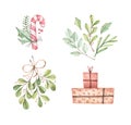 Christmas illustrations with eucalyptus, fir branch, candy, mistletoe and gift boxes - Watercolor illustration. Happy new year. Wi