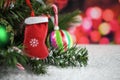 Christmas photography picture of tree branches and red stocking with candy canes and red fairy lights in background Royalty Free Stock Photo