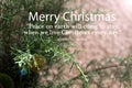 Christmas inspirational quote - Peace on earth will come to stay, when we live Christmas every day. Christmas card spruce tree.