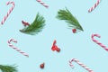 Christmas inspired beautiful pattern. Pattern made of red and white candy canes, pine trees , red berries, little decoration on